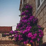 Carol 3* Trogir