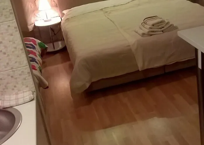 Vendégház Carol 3*