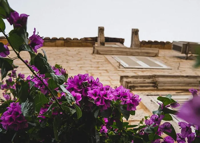 Penzion Carol Trogir