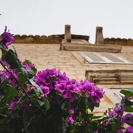 Gostinjska kuća Carol Trogir