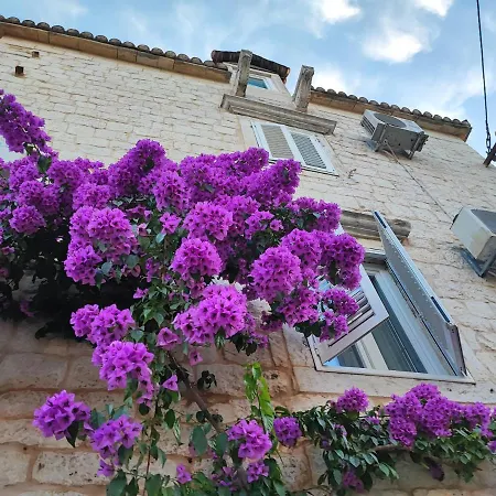 Carol Gostinjska kuća Trogir