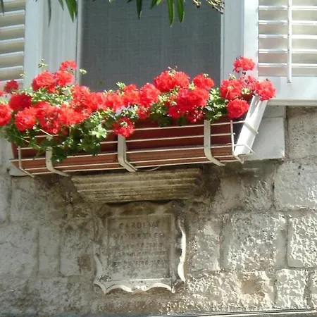 Gostinjska kuća Carol